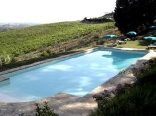 Agriturismo Bio Fattoria Bacio เชร์ตาลโด ภายนอก รูปภาพ